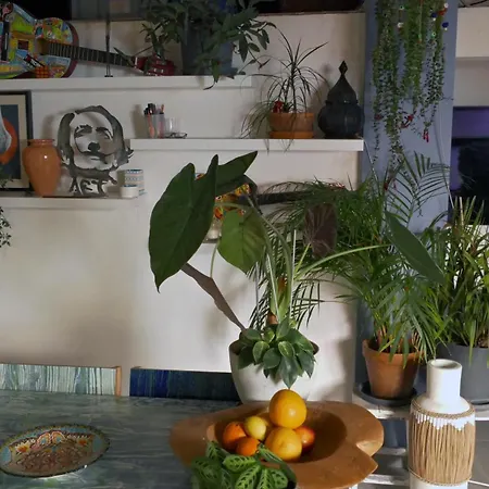 L'art'home A Carnon * Mauguio