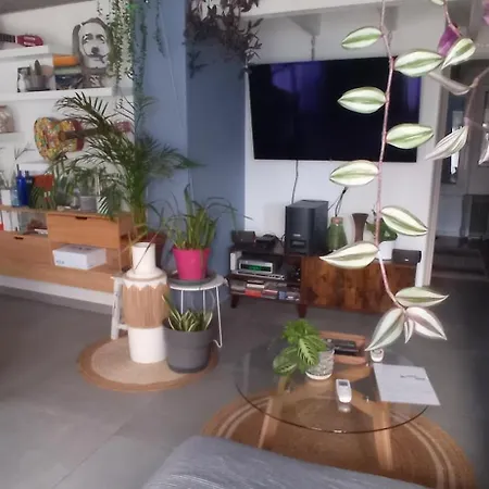 L'art'home A Carnon *