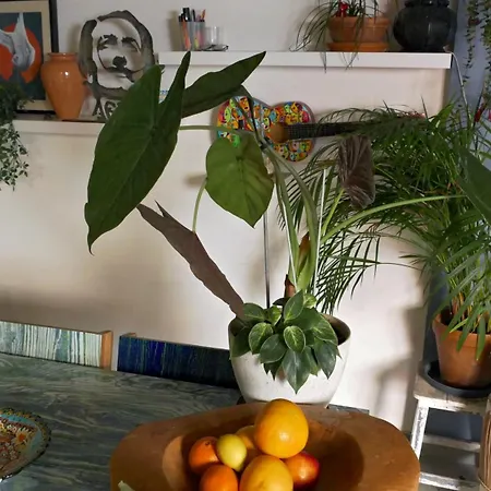 L'art'home A Carnon Willa Mauguio